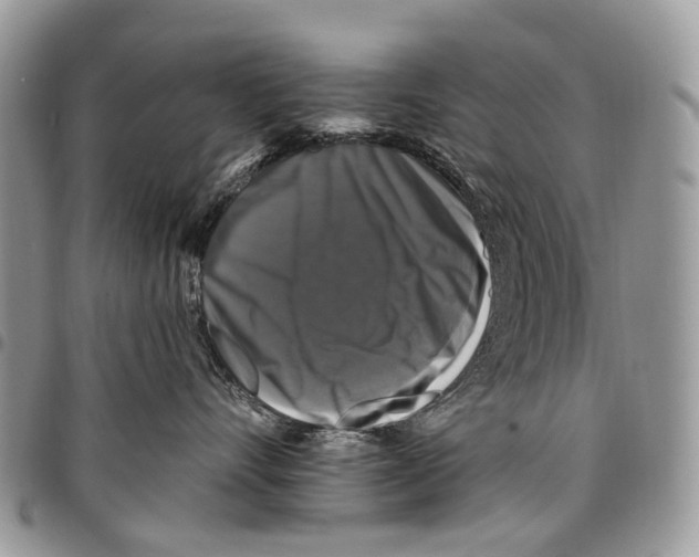 X0000097790528200803281726