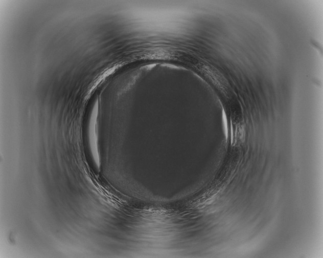 X0000097790531200803281725