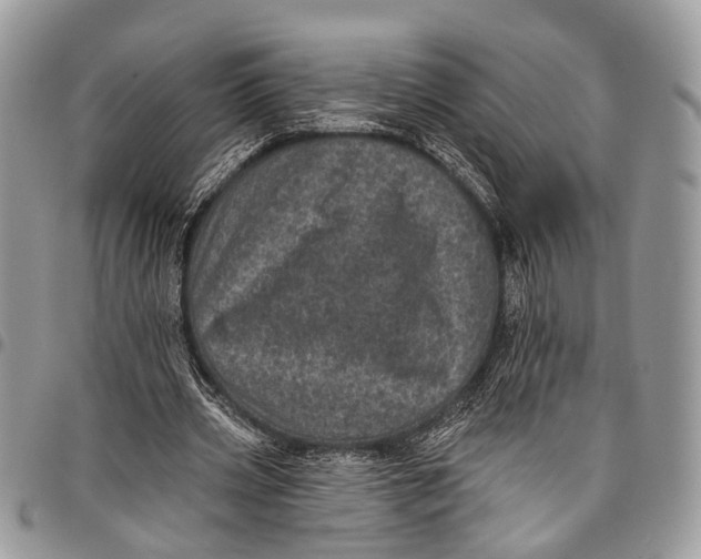 X0000097790533200803281725