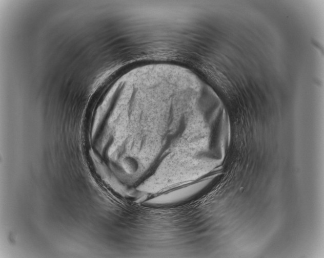 X0000097790536200803281725