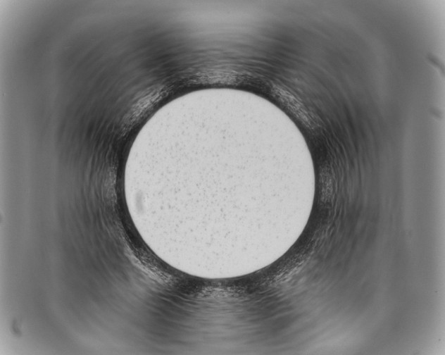 X0000097790538200803281725