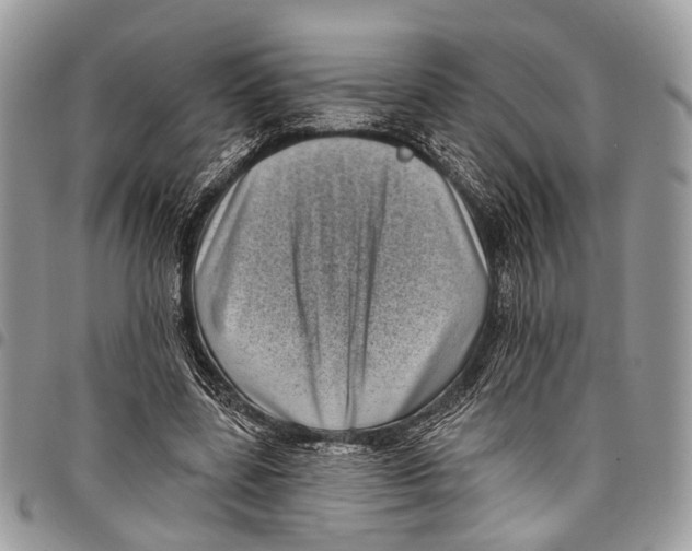 X0000097790539200803281725