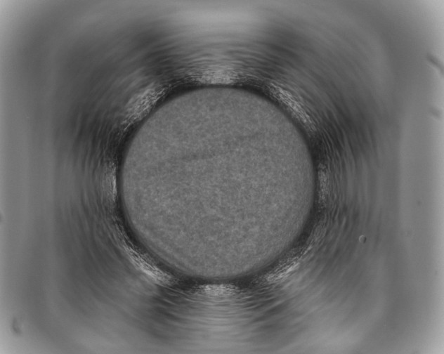 X0000097790541200803281725