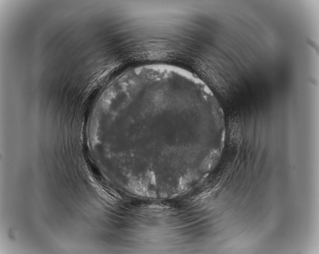 X0000097790542200803281725