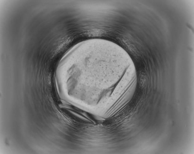 X0000097790543200803281725