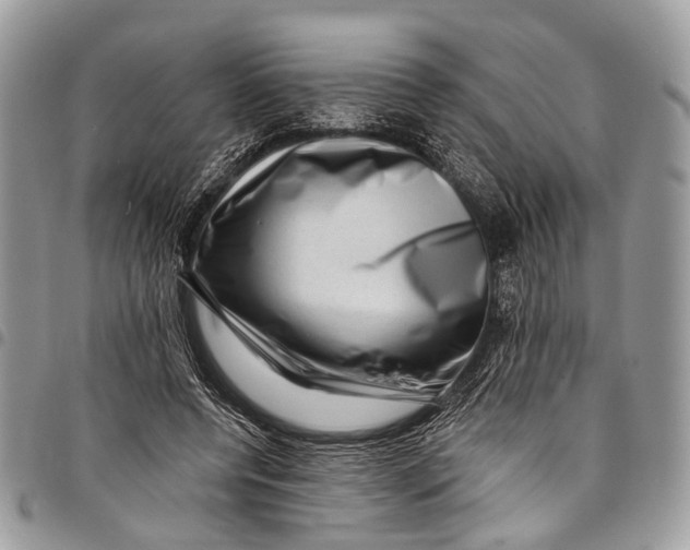 X0000097790544200803281725