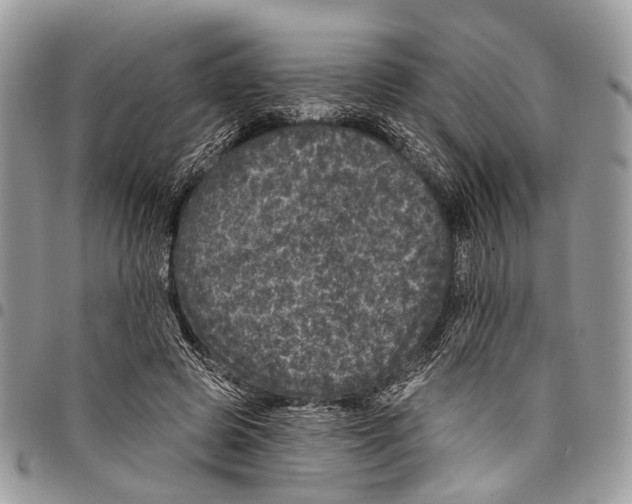 X0000097790545200803281725