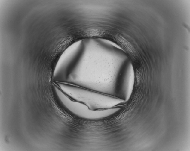 X0000097790546200803281725