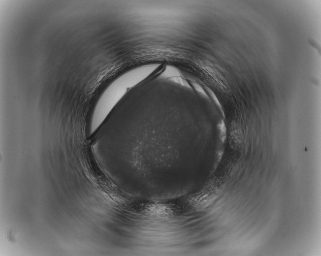 X0000097790547200803281725