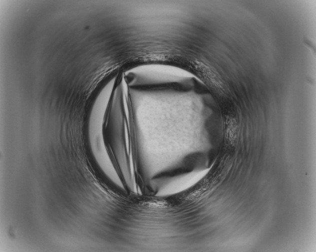 X0000097790548200803281725