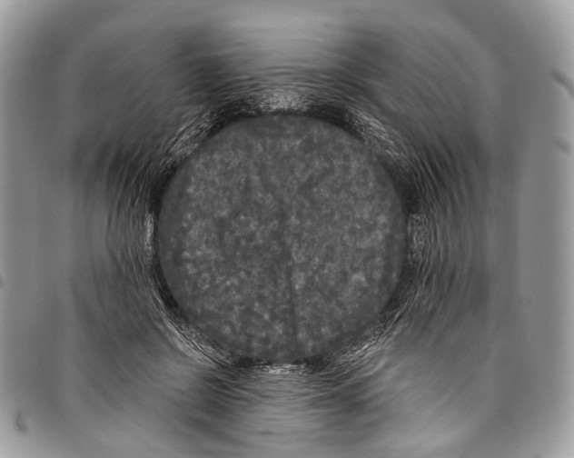 X0000097790550200803281725