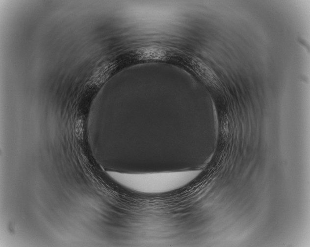 X0000097790551200803281725