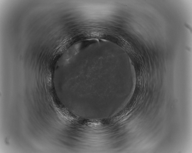 X0000097790552200803281725