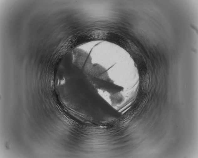 X0000097790553200803281725