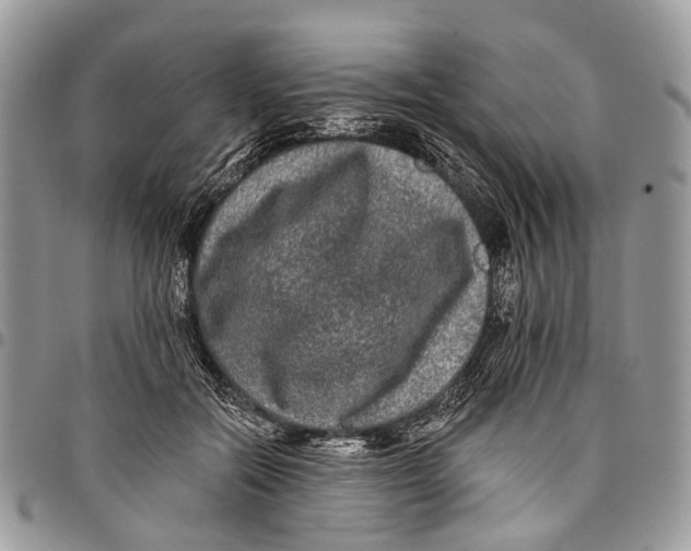 X0000097790554200803281725