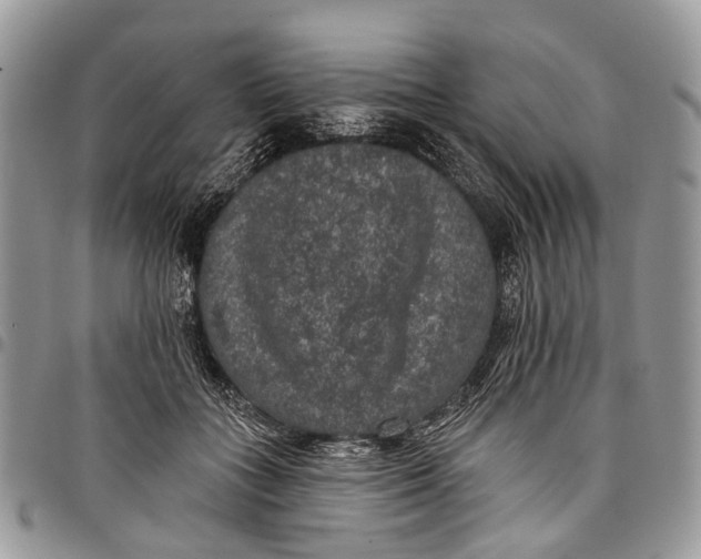 X0000097790555200803281725
