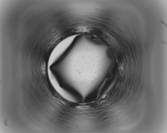 X0000097790556200803281725