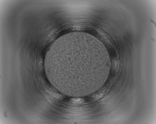 X0000097790557200803281725
