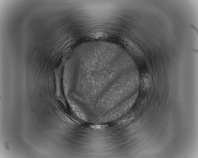X0000097790558200803281725