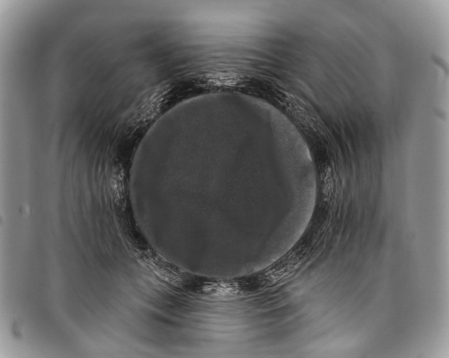 X0000097790559200803281725