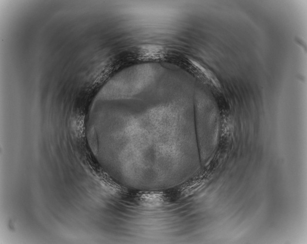 X0000097790560200803281725