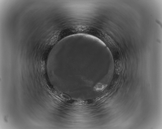 X0000097790563200803281725
