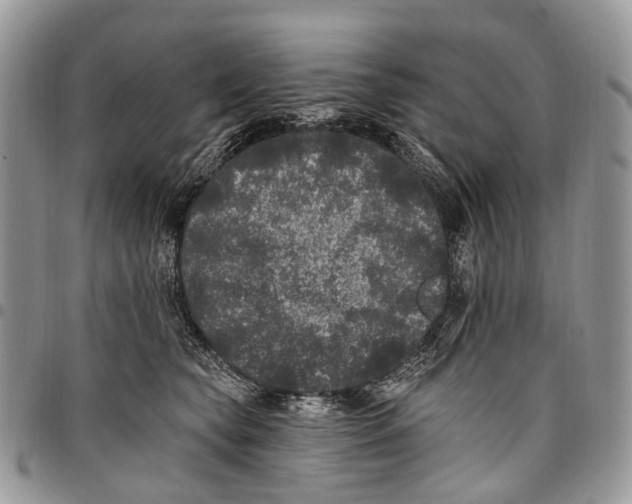 X0000097790565200803281725