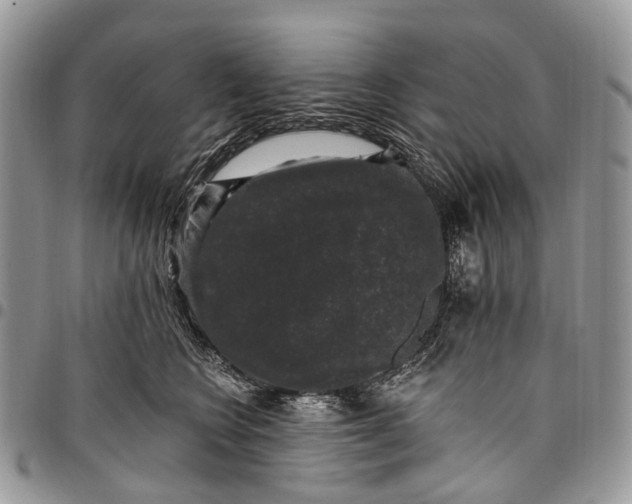 X0000097790566200803281725