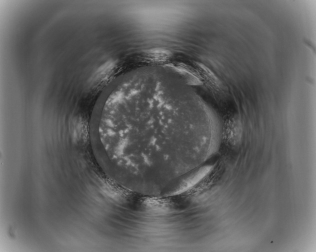 X0000097790568200803281726