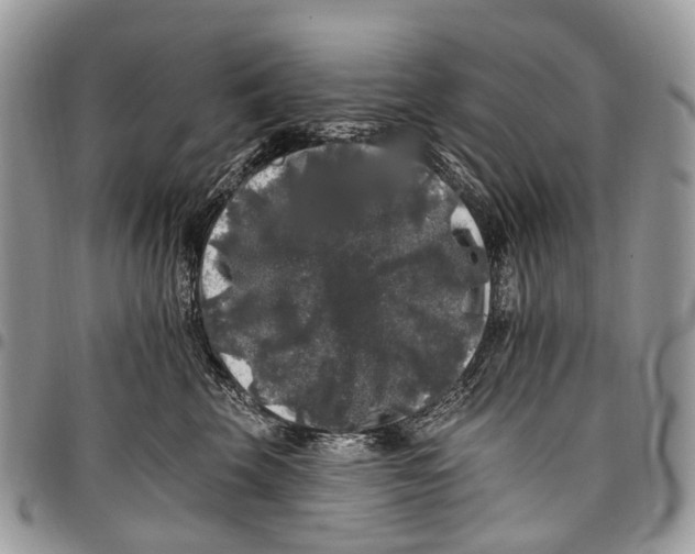X0000097790569200803281726