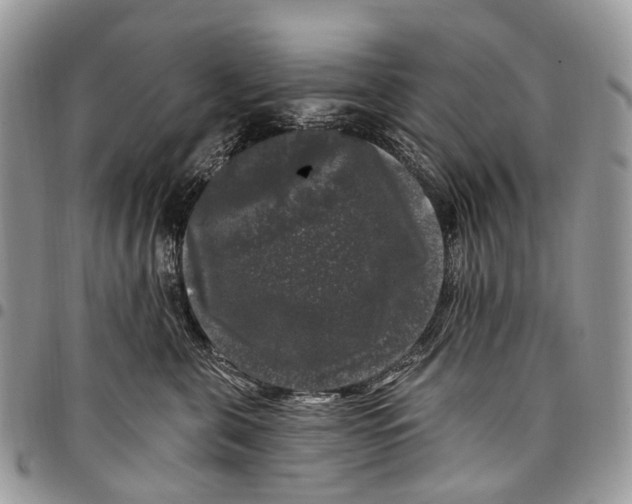X0000097790571200803281726