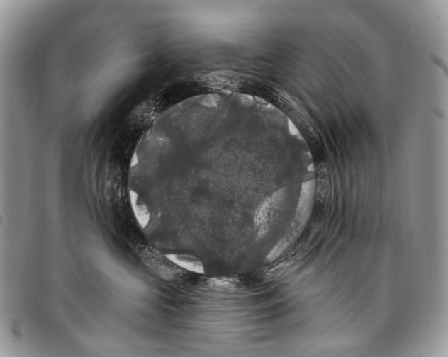 X0000097790573200803281726