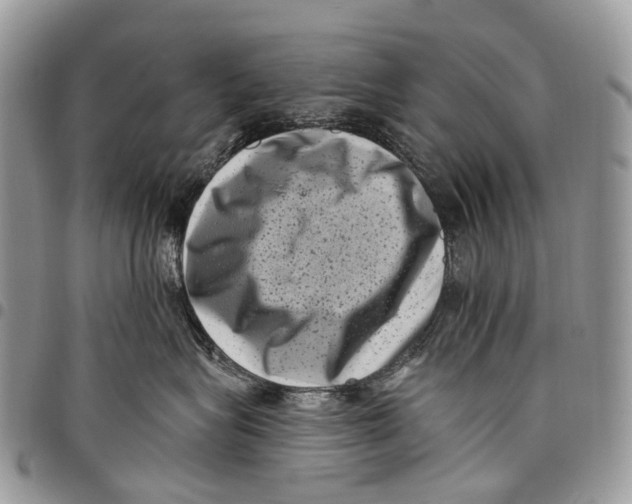 X0000097790575200803281726