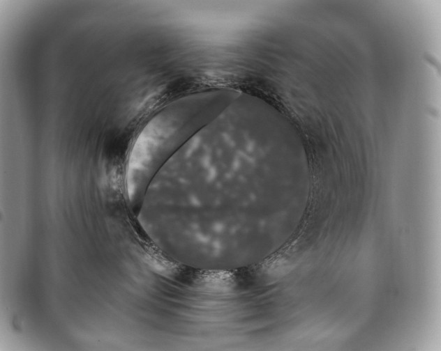 X0000097790576200803281726