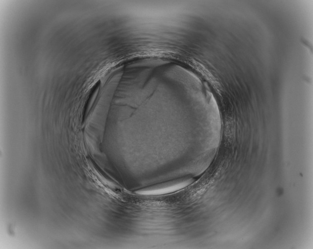 X0000097790577200803281725