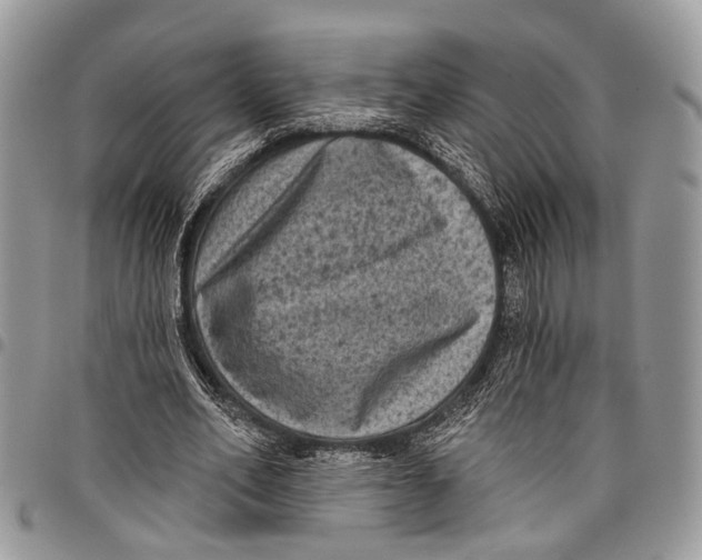 X0000097790582200803281725