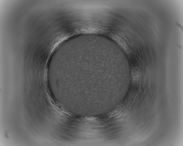 X0000097790583200803281725