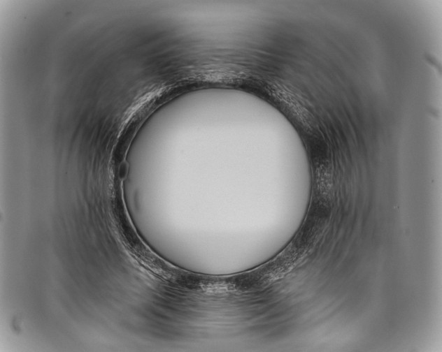 X0000097790587200803281725
