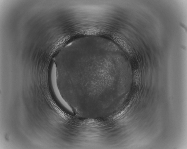 X0000097790589200803281725