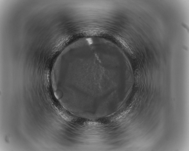 X0000097790590200803281725