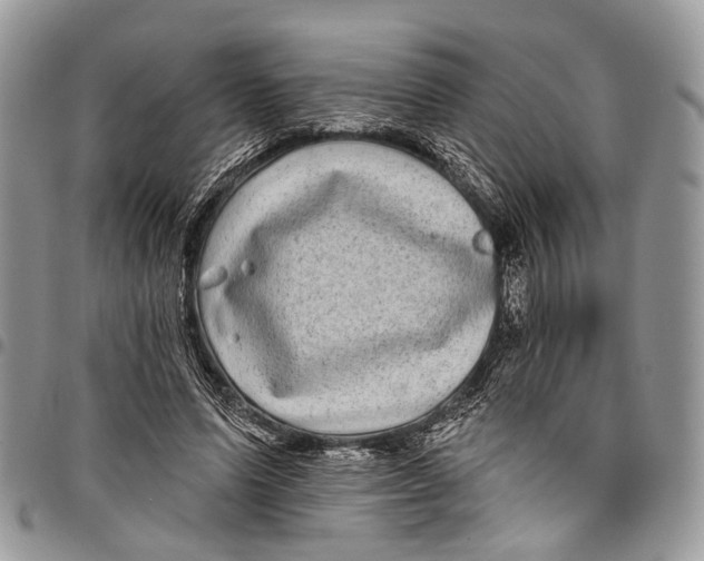 X0000097790591200803281725