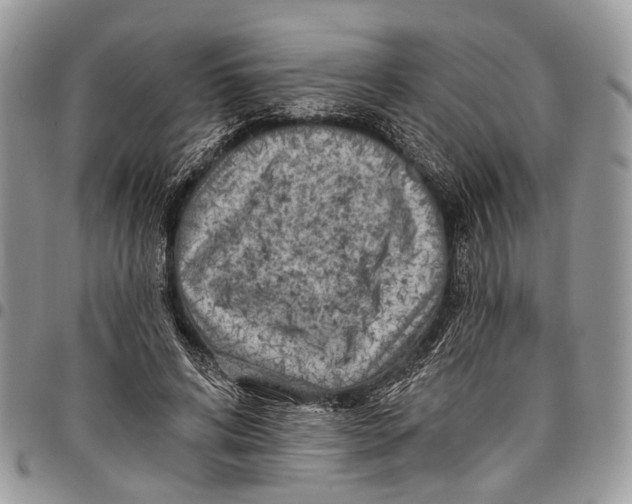 X0000097790592200803281725