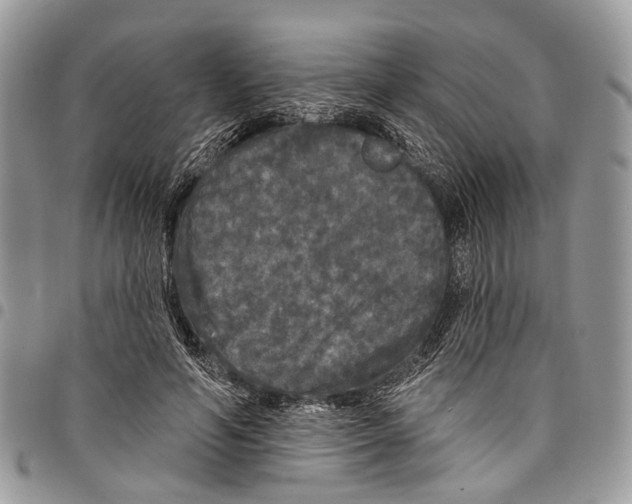 X0000097790594200803281725
