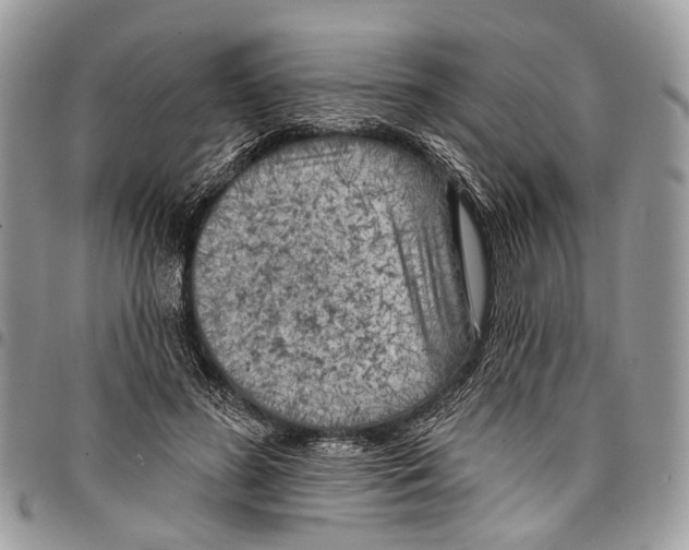 X0000097790596200803281725