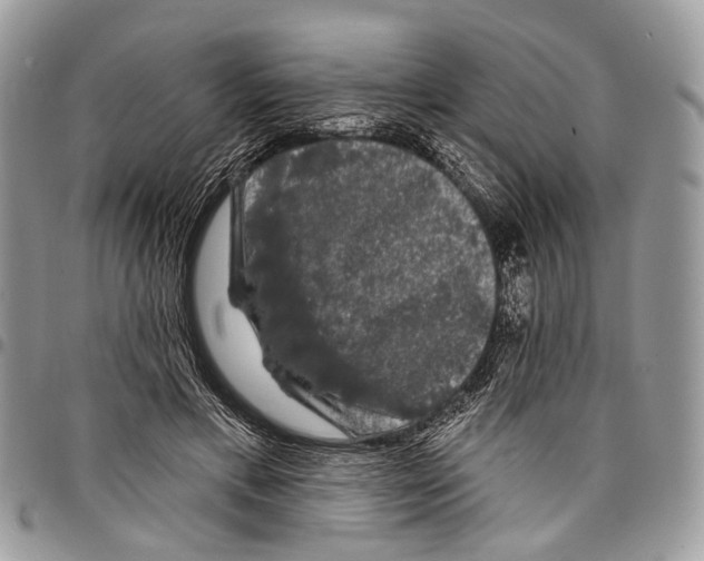 X0000097790597200803281725