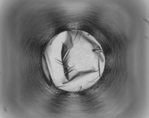 X0000097790601200803281725