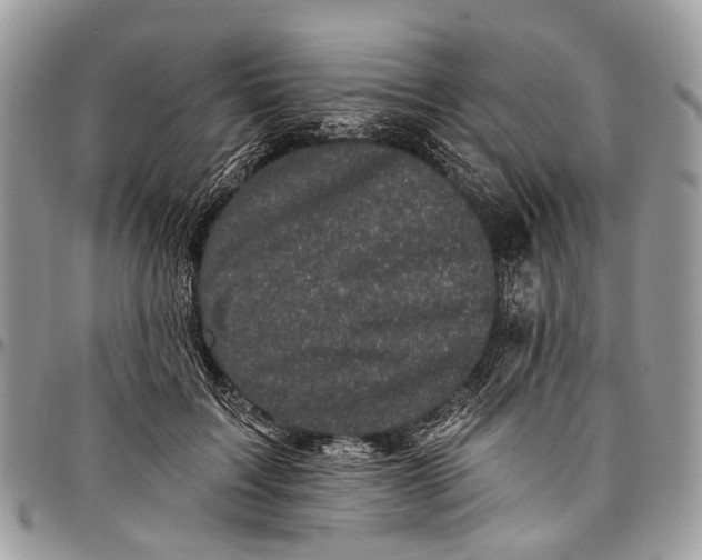X0000097790603200803281725