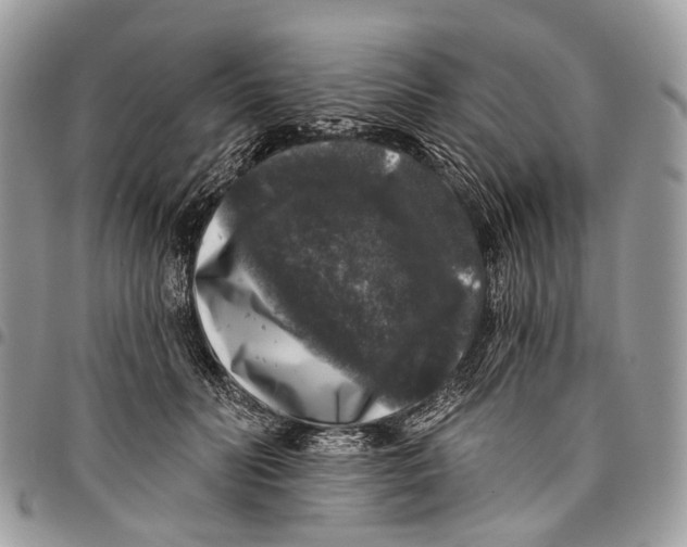 X0000097790606200803281725