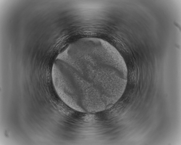 X0000097790609200803281725