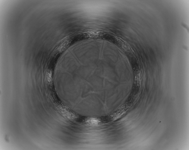 X0000097790610200803281725